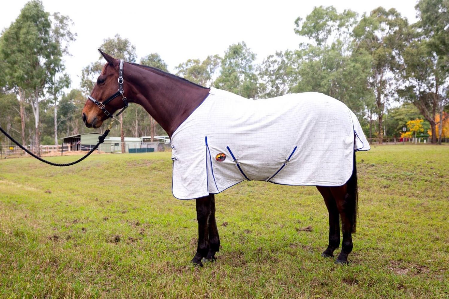 About Us About Bang For Your Buck Horsegear Horse Rugs