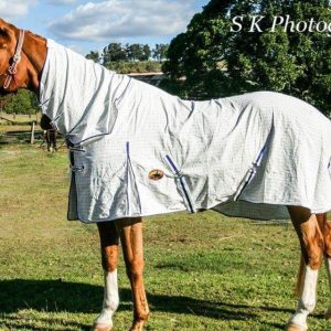 cotton horse rugs, horse rugs online