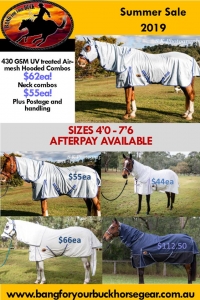 summer horse rugs